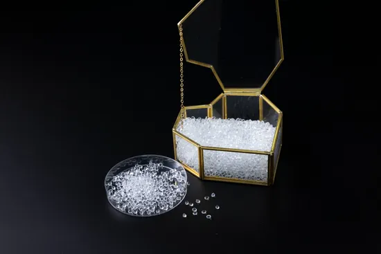 체육