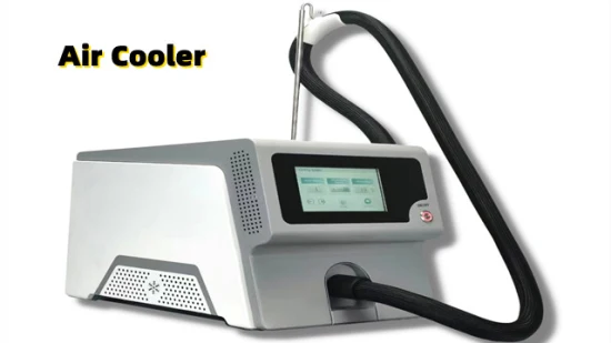 레이저 처리 공기 피부 냉각기 Cryo 냉각 장치를 위한 차가운 레이저 휴대용 찬 공기 기계